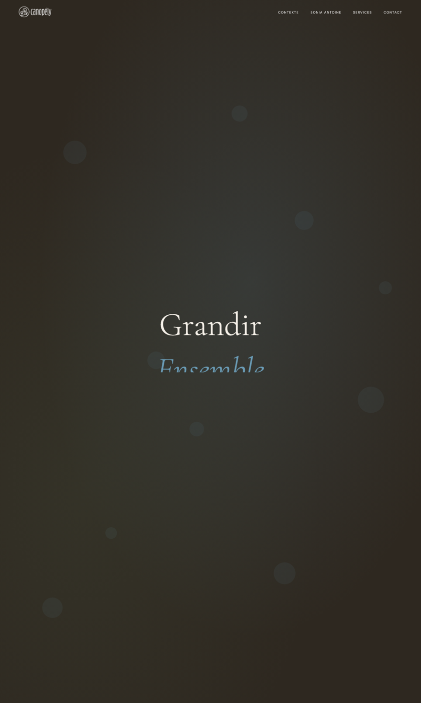 Première itération du site Canopély — version sombre écartée